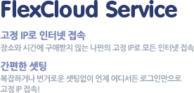 Mega VPN Service. 고정 IP로 인터넷 접속, 간편한 VPN 셋팅